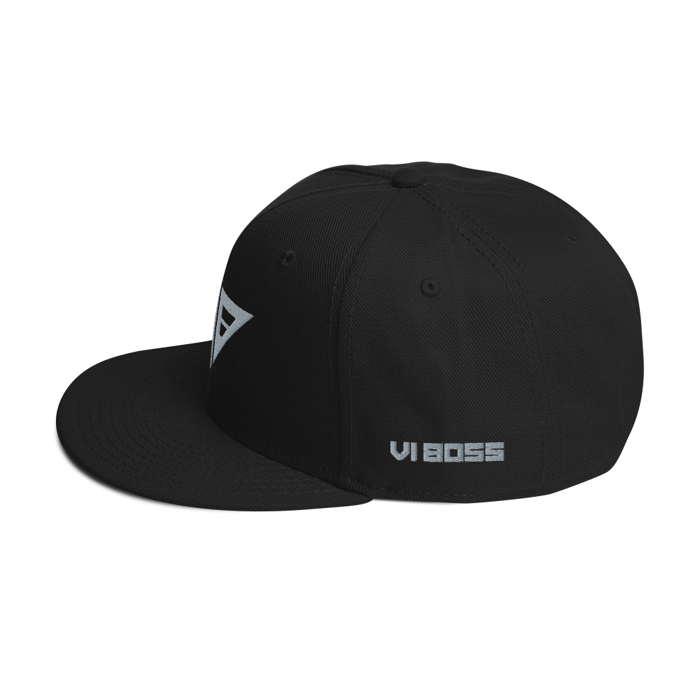 VIB Logo Snapback Hat 2/4 - [variant_title] - VI BOSS