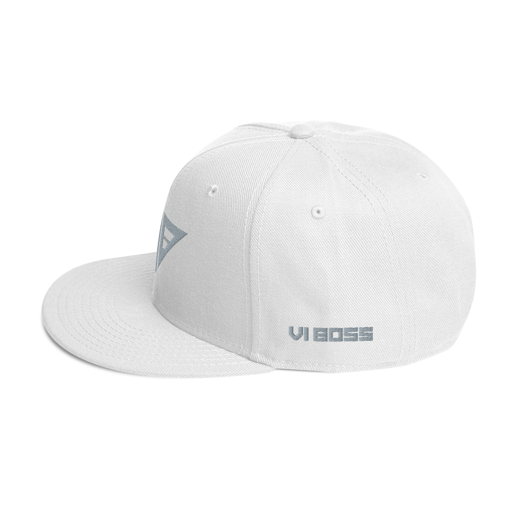 VIB Logo Snapback Hat 2/4 - [variant_title] - VI BOSS